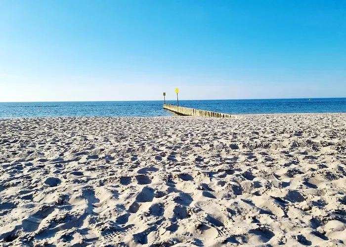 Seaside Czarna Mewa
